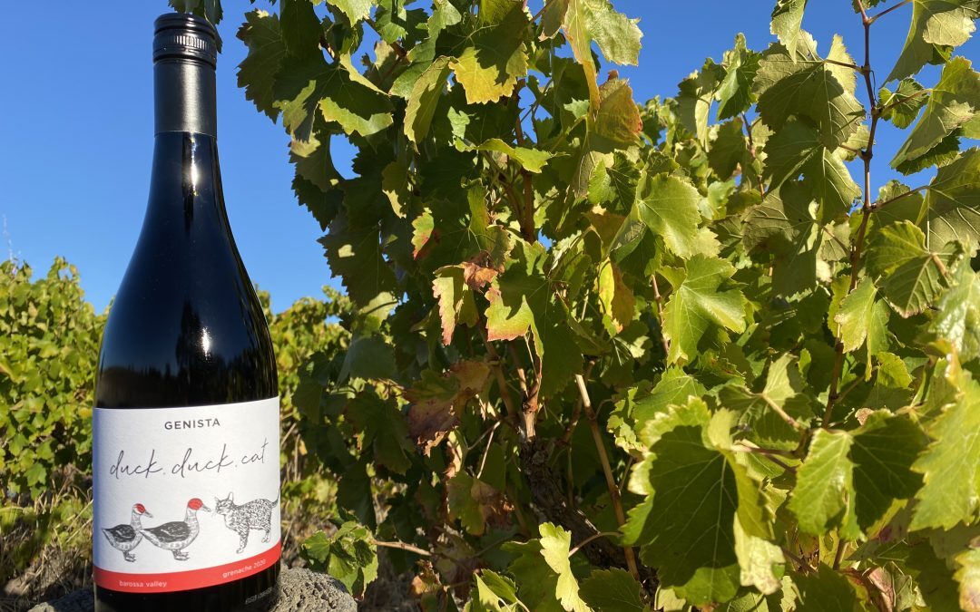 Introducing our first Grenache: 2020 ‘Duck, Duck, Cat’