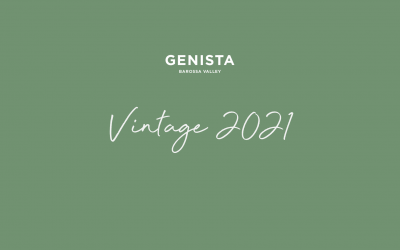 Vintage 2021