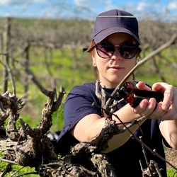 Sarah in the vineyard